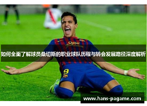 如何全面了解球员桑切斯的职业球队历程与转会发展路径深度解析
