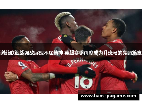 谢菲联迎战强敌展现不屈精神 英超赛季再度成为升班马的亮丽篇章 谢菲联迎战强敌展现不屈精神 英超赛季再度成为升班马的亮丽篇章